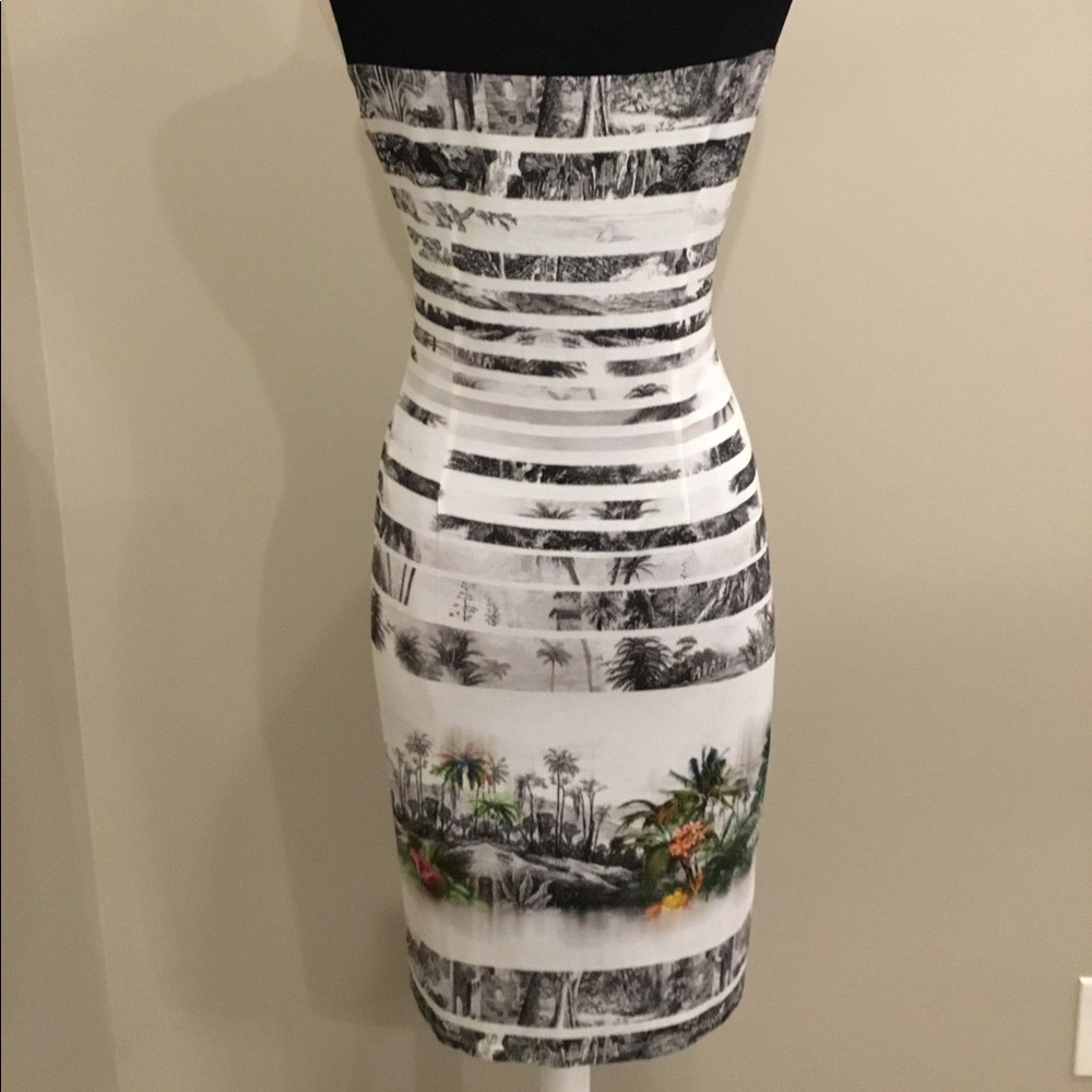 Michael Tyler Collection - Picture 15 of 16